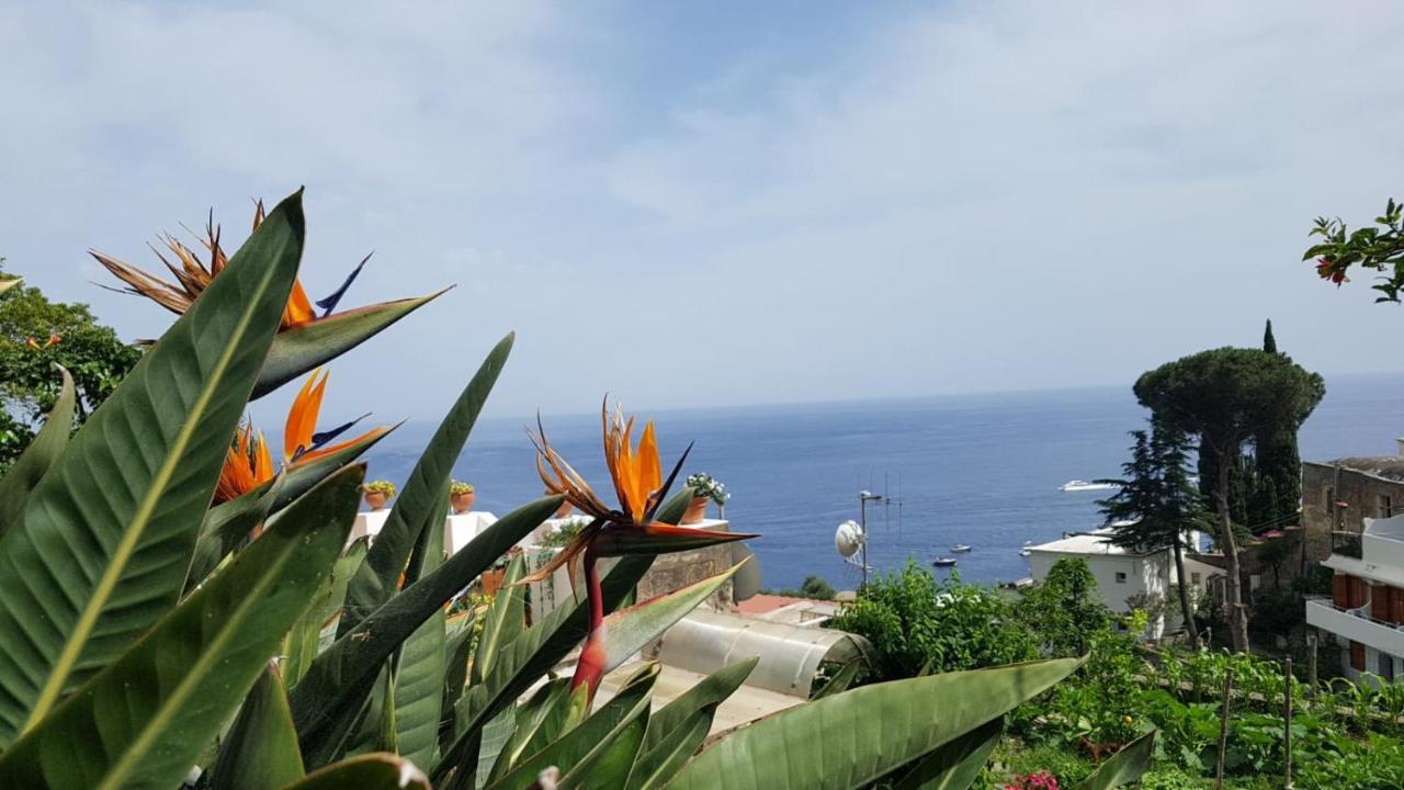 Casa Anna Villa Positano Luaran gambar